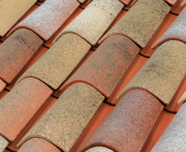 Curved Roof Tile 50 Canal_Mil·lènaria